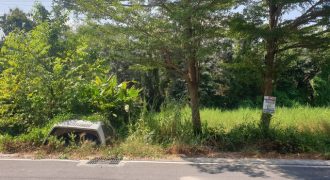 พื้นที่ดิน – 10 ตรว. 0 ngan 0 ไร่ 1000000 บาท ซื้อไว้มีแต่กำไร ปทุมธานี