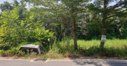 พื้นที่ดิน – 10 ตรว. 0 ngan 0 ไร่ 1000000 บาท ซื้อไว้มีแต่กำไร ปทุมธานี