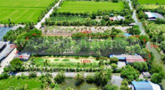 ที่ดิน 2 ไร่ พร้อมสิ่งปลูกสร้าง ไทรน้อย – นนทบุรี สไตล์คาเฟ่ บ้านสวน