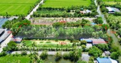 ที่ดิน 2 ไร่ พร้อมสิ่งปลูกสร้าง ไทรน้อย – นนทบุรี บ้านสวน สไตล์คาเฟ่