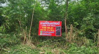 รหัส 61ที่ดินคุณหนมคอลสามสิบเอ็ดทับสาม SALE ที่ดิน – 102 sq.wa 0 NGAN 0 ไร่ ใกล้กับ ตลาดไท วัดธรรมกาย ร้านพี่ยาคนรุม ถูกที่สุด