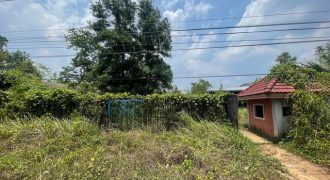 ขาย ที่ดินพร้อมสิ่งปลูกสร้าง อำเภอคุระบุรี พังงา ห่างจาก โรงพยาบาลคุระบุรีชัยพัฒน์ 1.8 km.