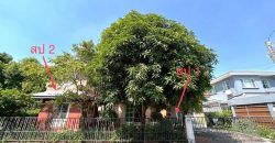 ขายบ้านเดี่ยว บ้านปาริชาต ถนนคุ้มเกล้า ลาดกระบัง กรุงเทพ