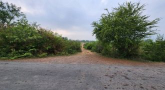 ขายที่ดินเปล่า ถนนบ้านเกาะคู่-ห้วยขวาง อำเภอสามร้อยยอด ประจวบคีรีขันธ์