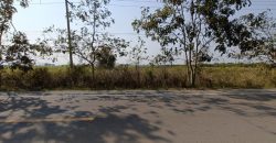 ขายที่ดินว่างเปล่า ถนนสายบ้านหนองคล้า-บ้านหนองตะเภา เพชรบุรี
