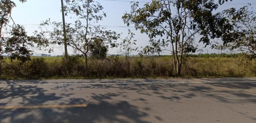 ขายที่ดินว่างเปล่า ถนนสายบ้านหนองคล้า-บ้านหนองตะเภา เพชรบุรี