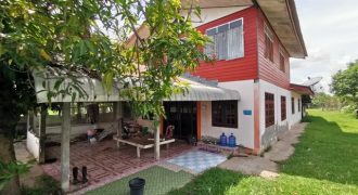 ขายบ้านเดี่ยว ถนนบ้านกู่พระโกนา-บ้านเมืองบัว อำเภอสุวรรณภูมิ ร้อยเอ็ด