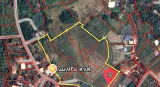 ขายที่ดิน ราคาถูก ​ 20 ไร่ 1 งาน 17 ตรว ตำบลยุหวา สันป่าตอง เชียงใหม่