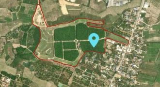 ขายสวน 278 ไร่ พร้อมบ้านหรู หลังใหญ่ อำเภอฝาง เชียงใหม่