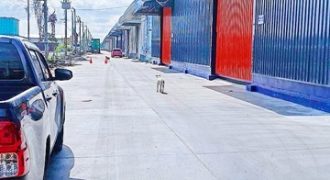ร่มเกล้า พัฒนาชนบท3 โกดังรีโนเวทใหม่ ขนาด 200-250ตร.ม. วงแหวน Motorway สนามบินสุวรรณภูมิ ร่