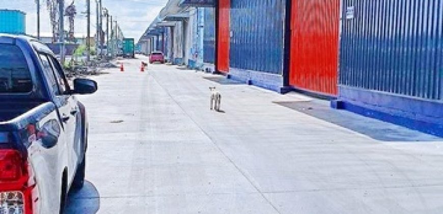 ร่มเกล้า พัฒนาชนบท3 โกดังรีโนเวทใหม่ ขนาด 200-250ตร.ม. วงแหวน Motorway สนามบินสุวรรณภูมิ ร่