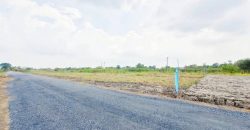 ที่ดิน – โอกาสเดียวห้ามพลาด ปทุมธานี