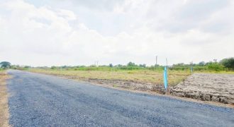 ที่ดิน – โอกาสเดียวห้ามพลาด ปทุมธานี
