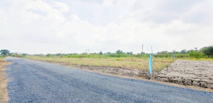 ที่ดิน – 100 ตรว. 490000 BAHT. GOOD! ถนนกว้าง ใกล้ถนนคอนกรีต ถูกมาก