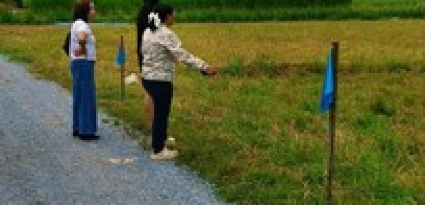 ที่ดิน – 390000 บ. 100 ตารางวา 0 ngan 0 Rai ใกล้ องค์พระปฐมเจดีย์ สวนป่าน เซเว่น ซีเจ ทำเลน่าอยู่ พรีโอน ใกล้องค์พระปฐมฯ น้ำไฟเข้าถึง ถนนหินคลุก