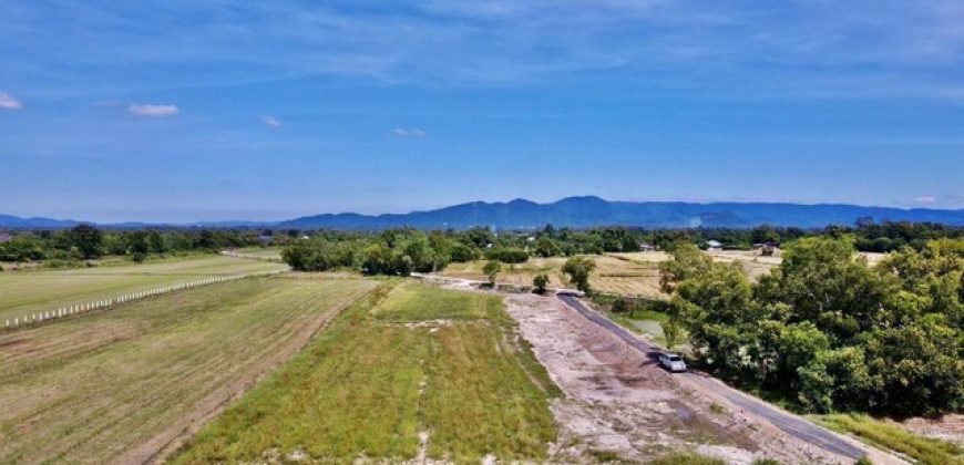 พื้นที่ดิน – ขนาดเท่ากับ 200 ตร.ว. 480000 – GOOD! นครนายก
