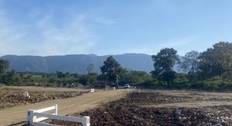 ที่ดิน – 0 RAI 0 NGAN 376 ตร.ว. ไม่ไกลจาก เขาใหญ่ หมูสี ทำเลดี