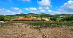 พื้นที่ดิน – สภาพเยี่ยม นครราชสีมา
