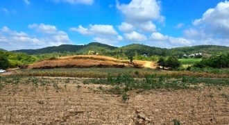 พื้นที่ดิน – สภาพเยี่ยม นครราชสีมา