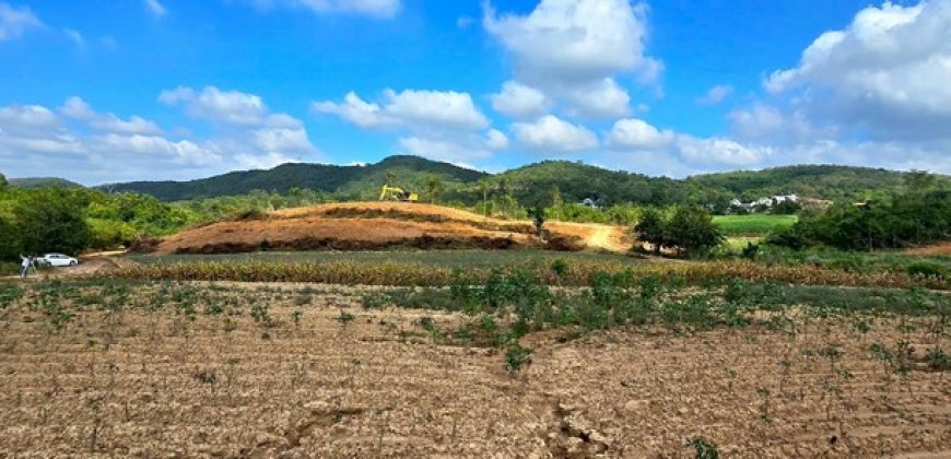 ที่ดิน – 1700000 บาท. 200 ตร.ว. 0 งาน 0 ไร่ เปย์หรือเท นครราชสีมา