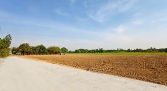 ที่ดิน – 100 ตร.ว. 750000 THAI BAHT ใกล้กับ เซเว่น มอเตอร์เวย์ น่าอยู่