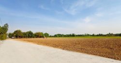 ที่ดิน – 100 ตร.ว. 750000 THAI BAHT ใกล้กับ เซเว่น มอเตอร์เวย์ น่าอยู่