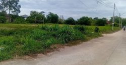 ขายที่ดินเปล่า เส้นนาพร้าว ศรีราชา แปลงสวย หัวมุม แหล่งชุมชน FP-L02004