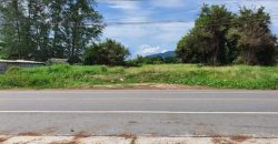 ขายที่ดินระยอง ติดถนนเลียบชายหาดแม่รำพึง ตะพง เมืองระยอง FP-L02036