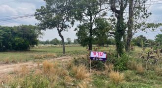 ขายที่ดินทำเลทอง! ติดถนนเส้นหลัก (กันทรารมย์ – น้ำเกลี้ยง) เนื้อที่ทั้งหมด 4 ไร่ 2 งาน | ฮวงจุ้ยดี รูปแปลงสี่เหลี่ยมสวย
