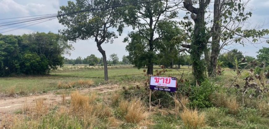 ขายที่ดินทำเลทอง! ติดถนนเส้นหลัก (กันทรารมย์ – น้ำเกลี้ยง) เนื้อที่ทั้งหมด 4 ไร่ 2 งาน | ฮวงจุ้ยดี รูปแปลงสี่เหลี่ยมสวย