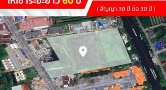 ให้เช่าที่ดินระยะยาว 60 ปีทำเลดี อำเภอพุทธมณฑล จังหวัดนครปฐม