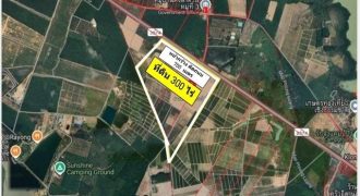 ขายที่ดินปลวกแดงระยอง ที่ดินระยองเนื้อที่ 300 ไร่ (มี 3 โฉนด) ที่ดินติดถนนใหญ่ หน้ากว้างติดถนน 700 เมตร