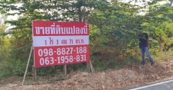 ขายที่ดินเปล่า ทำเลดี อ.เมืองชัยภูมิ จังหวัดชัยภูมิ