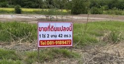 ขายที่ดินถมแล้ว เจ้าของขายเอง ทำเลดีติดถนนซอย 2 ฝั่ง พระนครศรีอยุธยา