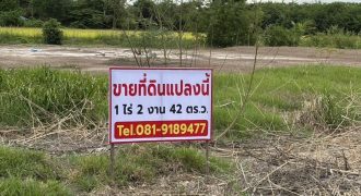 ขายที่ดินถมแล้ว เจ้าของขายเอง ทำเลดีติดถนนซอย 2 ฝั่ง พระนครศรีอยุธยา