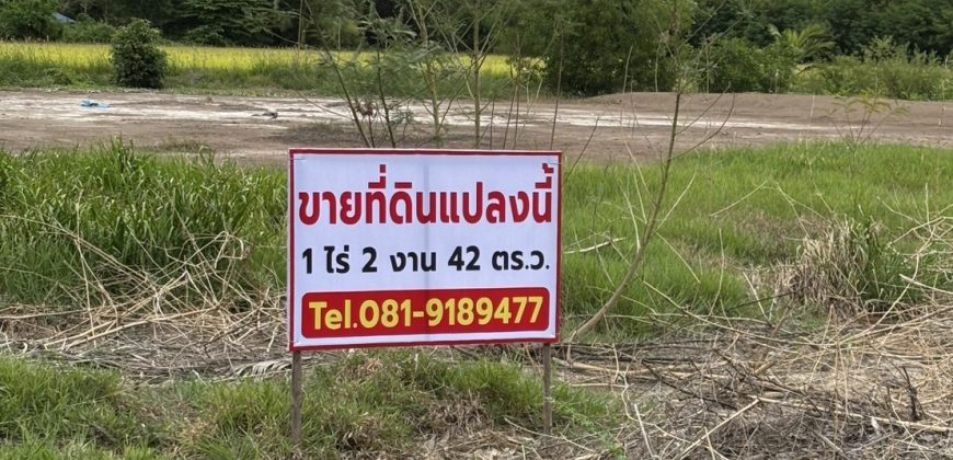 ขายที่ดินถมแล้ว เจ้าของขายเอง ทำเลดีติดถนนซอย 2 ฝั่ง พระนครศรีอยุธยา