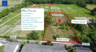 ขายที่ดินสวย ทำเลดี 1 ไร่ 2 งาน อำเภอแม่ใจ จังหวัดพะเยา