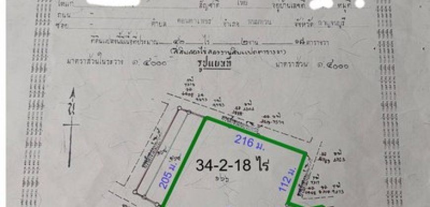 ฺขายที่ดินวิวภูเขาพร้อมสวนเกษตรผสม 34-2-18ไร่ สวนอินทผาลัม,สวนมะพร้าวม,สวนไม้จามจุรี,ไผ่ตงลืมแล้งฯลฯ อ.พนมทวน จ.กาญจนบุรี