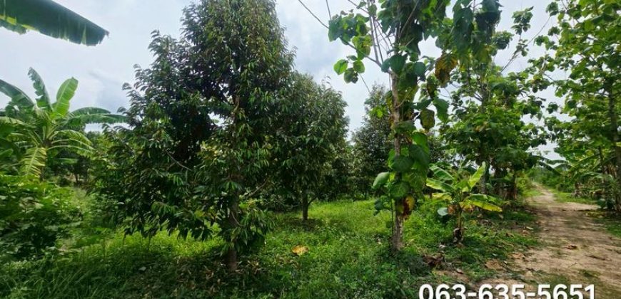 ขายที่เปล่า ที่สวนผสมผสาน ต.ป่าขะ อ.บ้านนา จ.นครนายก การเดินทางสะดวกสบาย เข้าจากถนนสี่เลนเส้นบ้านนาแก่งคอยเพียง 300 เมตรเท่านั้น