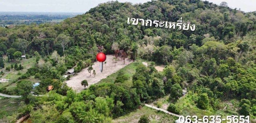 ขายที่สวยติดเขา ต.หินตั้ง อ.เมืองนครนายก ท้ายติดเขากระเหรี่ยงประมาณ 70 เมตร โฉนดครุฑแดงพร้อมโอน