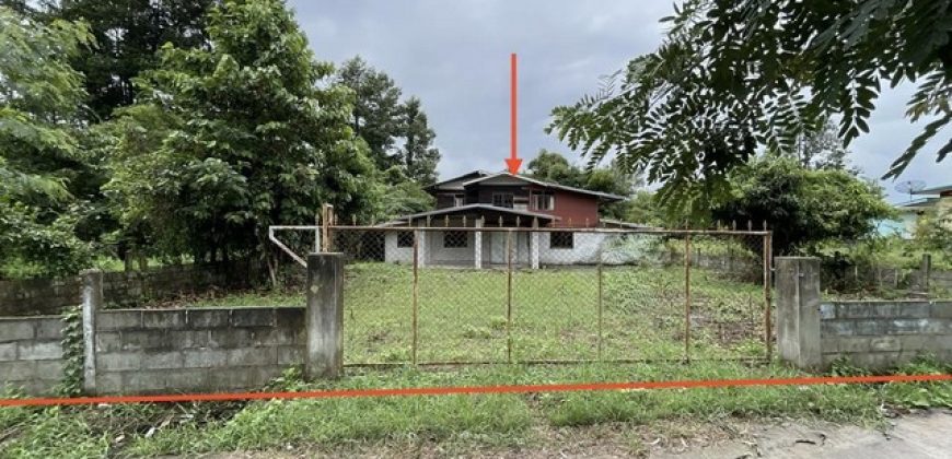 บ้านเดี่ยว กาฬสินธุ์ ถนน เลียบคลองชลประทาน อำเภอ ยางตลาด จังหวัด กาฬสินธุ์