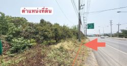 ที่ดินสวนลำไย ติดถนนใหญ่และแม่น้ำทา เดินทางสะดวก เนื้อที่ 3 ไร่ 262.1 ตรว ต.ม่วงน้อย อ.ป่าซาง จ.ลำพูน