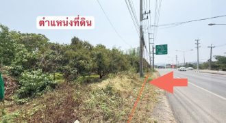 ที่ดินสวนลำไย ติดถนนใหญ่และแม่น้ำทา เดินทางสะดวก เนื้อที่ 3 ไร่ 262.1 ตรว ต.ม่วงน้อย อ.ป่าซาง จ.ลำพูน