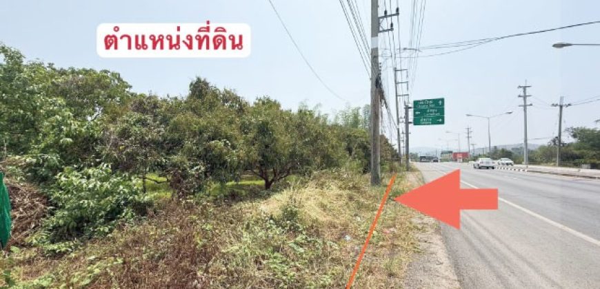 ที่ดินสวนลำไย ติดถนนใหญ่และแม่น้ำทา เดินทางสะดวก เนื้อที่ 3 ไร่ 262.1 ตรว ต.ม่วงน้อย อ.ป่าซาง จ.ลำพูน