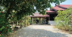 บ้านพร้อมที่ดิน ติดถนนหลัก ราคาถูกมาก เดินทางสะดวก เนื้อที่ 1 ไร่ 130 ตรว ต.ม่วงน้อย อ.ป่าซาง จ.ลำพูน