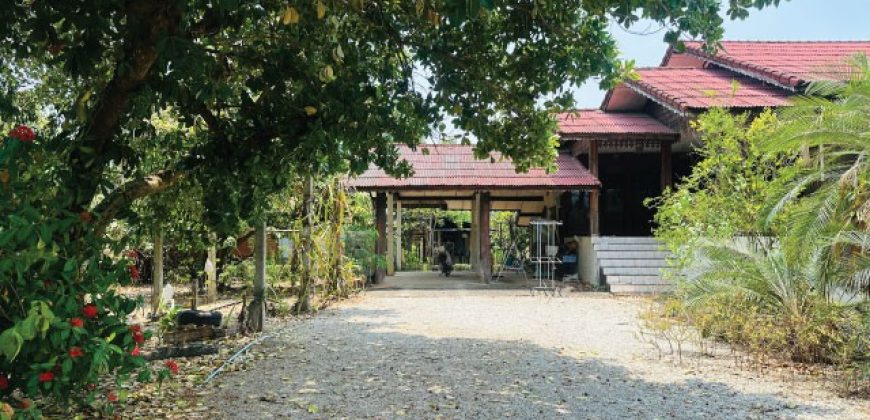 บ้านพร้อมที่ดิน ติดถนนหลัก ราคาถูกมาก เดินทางสะดวก เนื้อที่ 1 ไร่ 130 ตรว ต.ม่วงน้อย อ.ป่าซาง จ.ลำพูน
