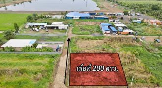 ที่ดินใกล้กรุงฯ คลอง9หนองเสือ ใกล้ชุมชน 200ตรว. เพียง 7.5แสนเท่านั้น ปทุมธานี To86-3ol-6l6l ใกล้ตลาด ใกล้ชุมชน เหมาะปลูกบ้าน ทำบ้านสวนเกษตร