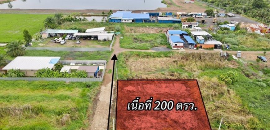 ที่ดินใกล้กรุงฯ คลอง9หนองเสือ ใกล้ชุมชน 200ตรว. เพียง 7.5แสนเท่านั้น ปทุมธานี To86-3ol-6l6l ใกล้ตลาด ใกล้ชุมชน เหมาะปลูกบ้าน ทำบ้านสวนเกษตร