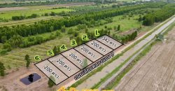 ที่ดินคลอง9หนองเสือ ติดถนนเลียบคลองระพีพัฒน์ 200 ตรว. 5.8แสนเท่านั้น T. 086-301-6161 เหมาะทำบ้านสวนเกษตร บึงชำอ้อ หนองเสือ ปทุมธานี