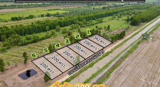 ที่ดินคลอง9หนองเสือ ติดถนนเลียบคลองระพีพัฒน์ 200 ตรว. 5.8แสนเท่านั้น T. 086-301-6161 เหมาะทำบ้านสวนเกษตร บึงชำอ้อ หนองเสือ ปทุมธานี